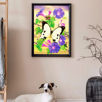 Morning Glory African White Swallowtail Butterfly - Full Round Drill Diamond Painting 30*40CM