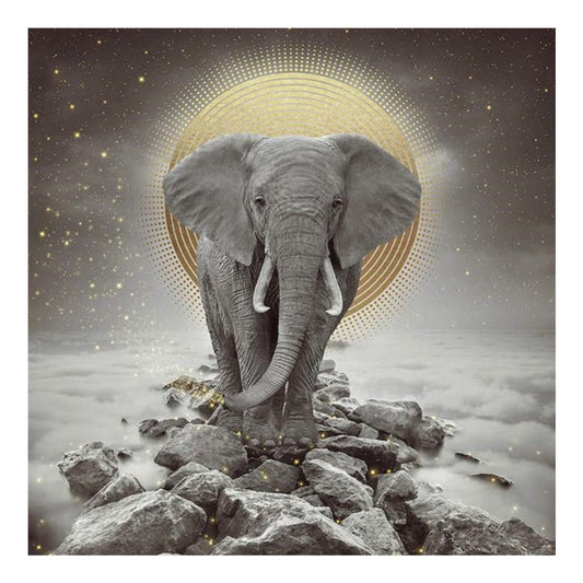 Elephant - Full Square Drill Diamond Painting 50*50CM