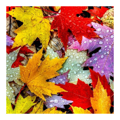 Deciduous Maple Leaf 40*40CM(Canvas) Full Round Drill Diamond Painting