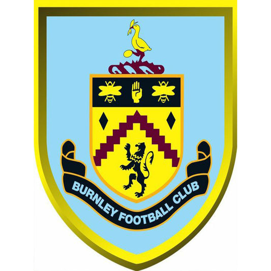 Burnley Football Club 40*50CM(Canvas) Full Square Drill Diamond Painting
