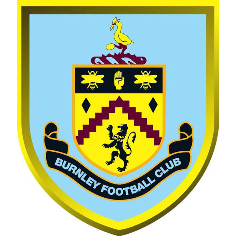 Burnley Football Club - Full Square Drill Diamond Painting 40*50CM