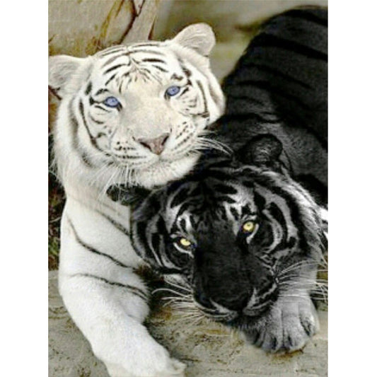 Tiger - Full Round Drill Diamond Painting 50*60CM