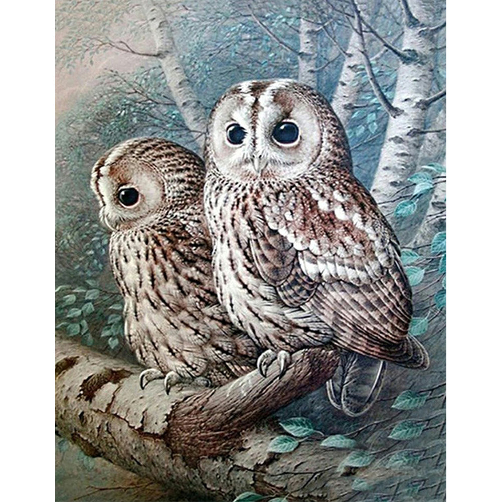 Owl - Full Round Drill Diamond Painting 40*50CM