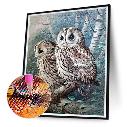 Owl - Full Round Drill Diamond Painting 40*50CM