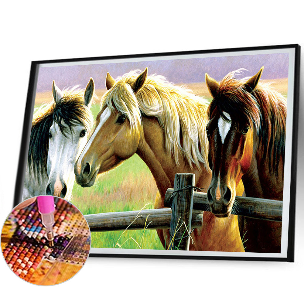 Horse In The Fence - Full Round Drill Diamond Painting 50*40CM