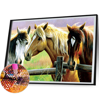 Horse In The Fence - Full Round Drill Diamond Painting 50*40CM