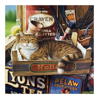 Cat In Wooden Box In Warehouse 40*40CM(Canvas) Full Round Drill Diamond Painting