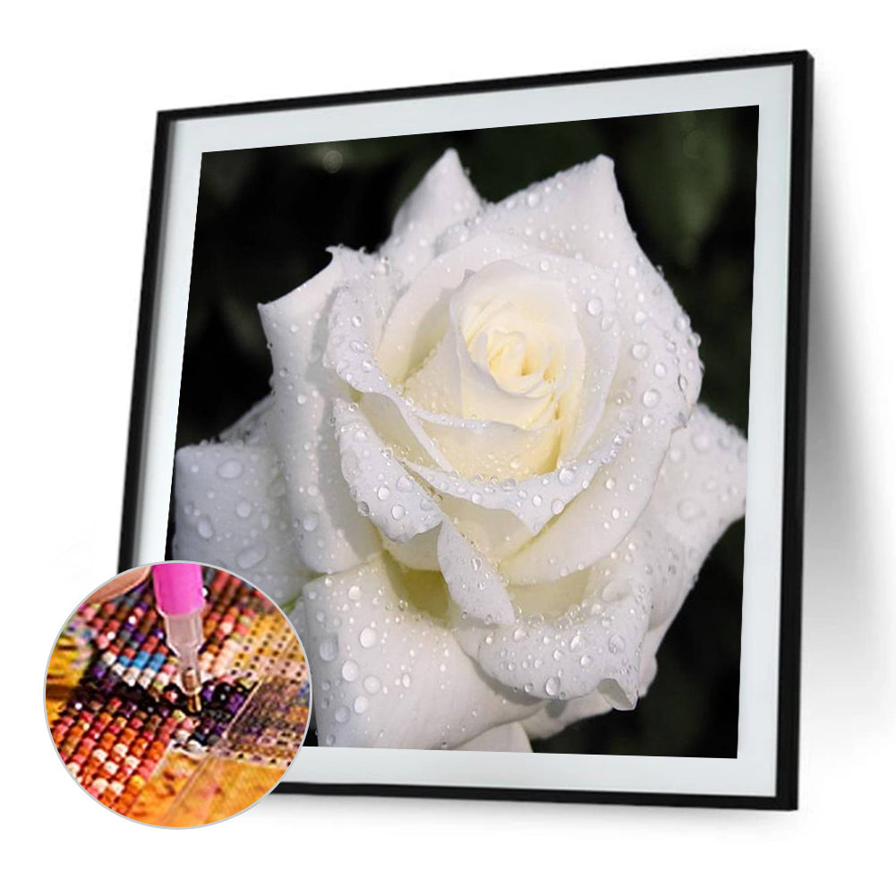 White Rose 40*40CM(Canvas) Full Round Drill Diamond Painting