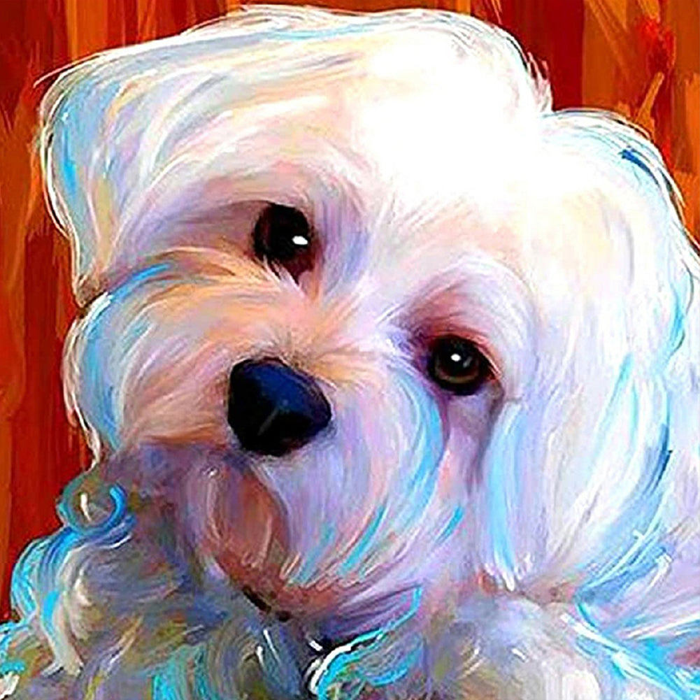 Bichon Puppy - Full Square Drill Diamond Painting 30*30CM
