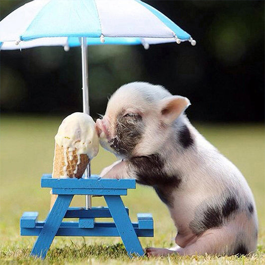 Pig Eating Ice Cream - Full Round Drill Diamond Painting 50*50CM