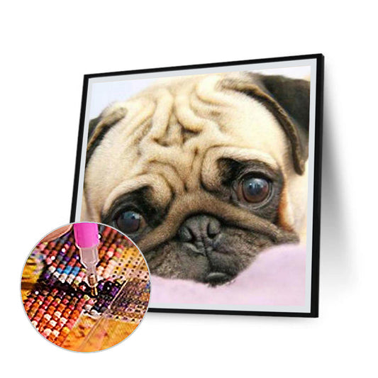 Pug Dog - Full Round Drill Diamond Painting 50*50CM