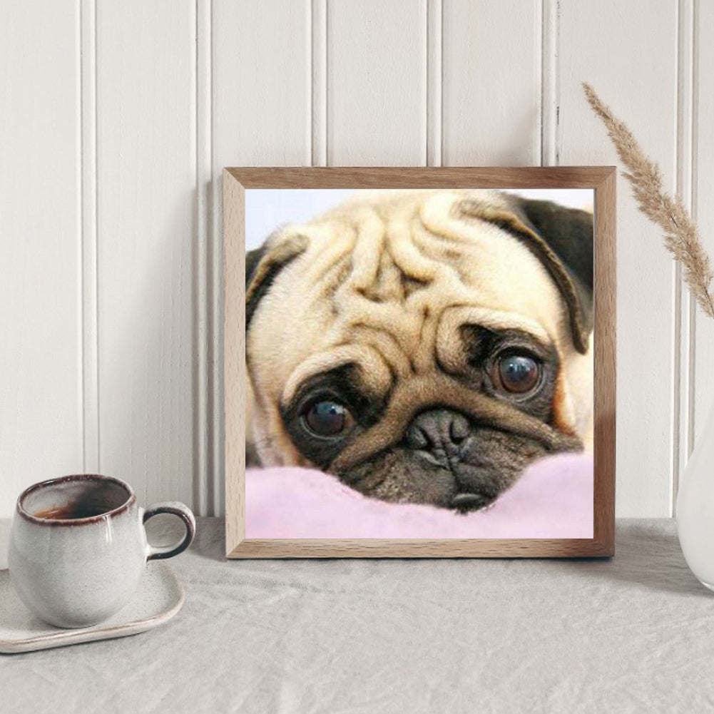 Pug Dog - Full Round Drill Diamond Painting 50*50CM