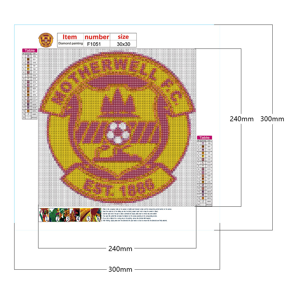 Motherwell Football Club - Full Square Drill Diamond Painting 30*30CM