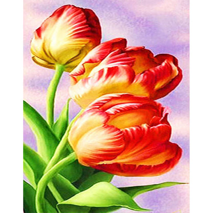 Tulip - Full Round Drill Diamond Painting 30*40CM