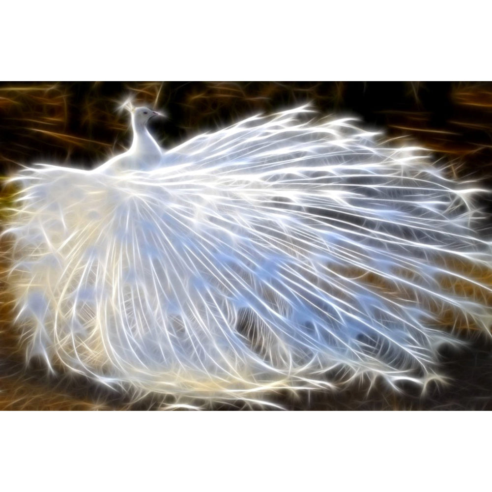 White Peacock 45*30CM(Canvas) Full Round Drill Diamond Painting