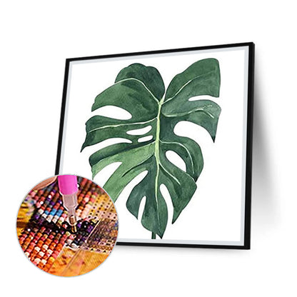 Monstera - Full Round Drill Diamond Painting 30*30CM