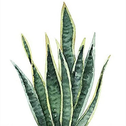 Sansevieria - Full Round Drill Diamond Painting 30*30CM