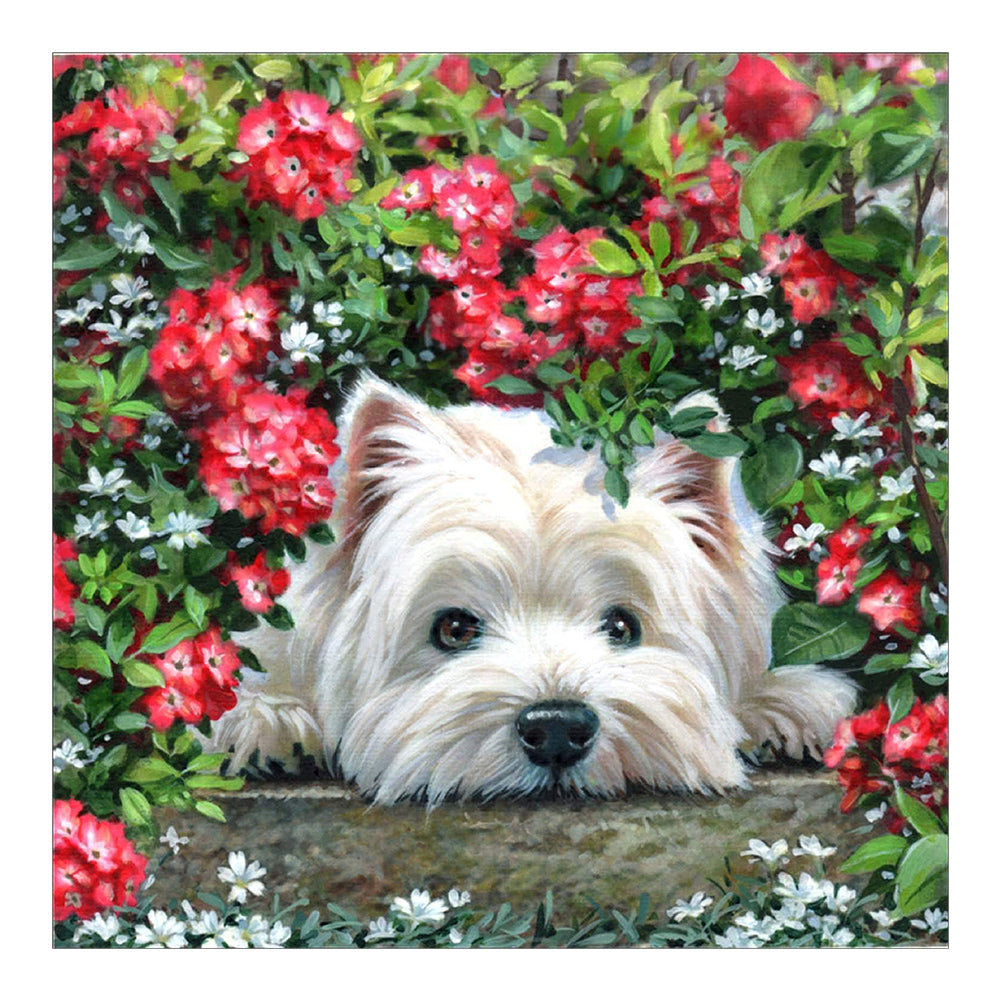 West Highland White Terrier - Full Round Drill Diamond Painting 40*40CM