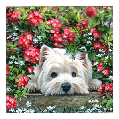 West Highland White Terrier - Full Round Drill Diamond Painting 40*40CM