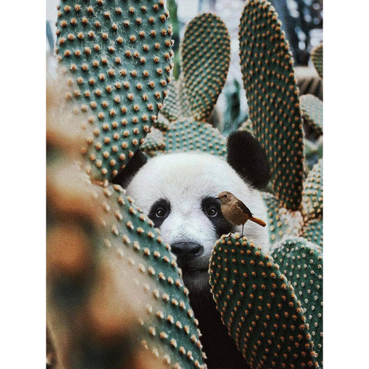 Panda In Cactus - Full Round Drill Diamond Painting 30*40CM