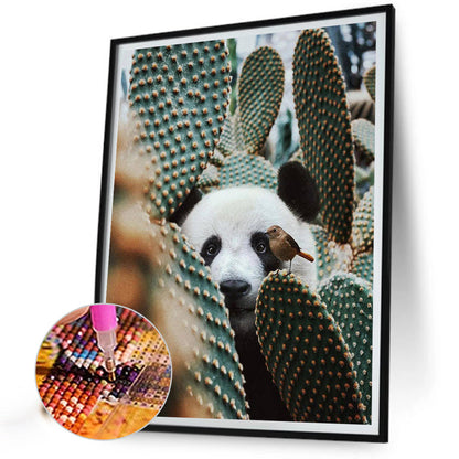 Panda In Cactus - Full Round Drill Diamond Painting 30*40CM