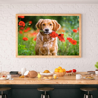 Golden Retriever - Full Round Drill Diamond Painting 50*40CM