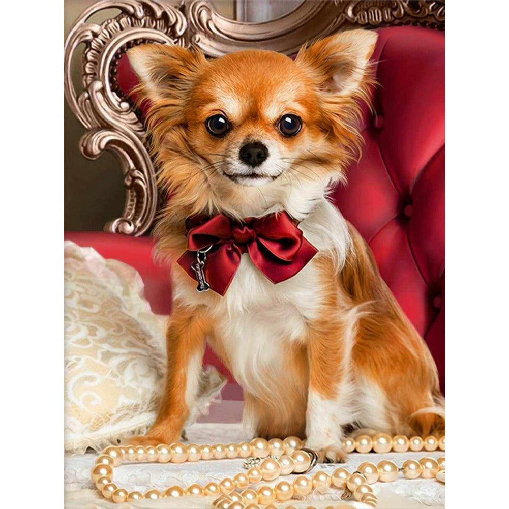 Chihuahua - Full Square Drill Diamond Painting 30*40CM