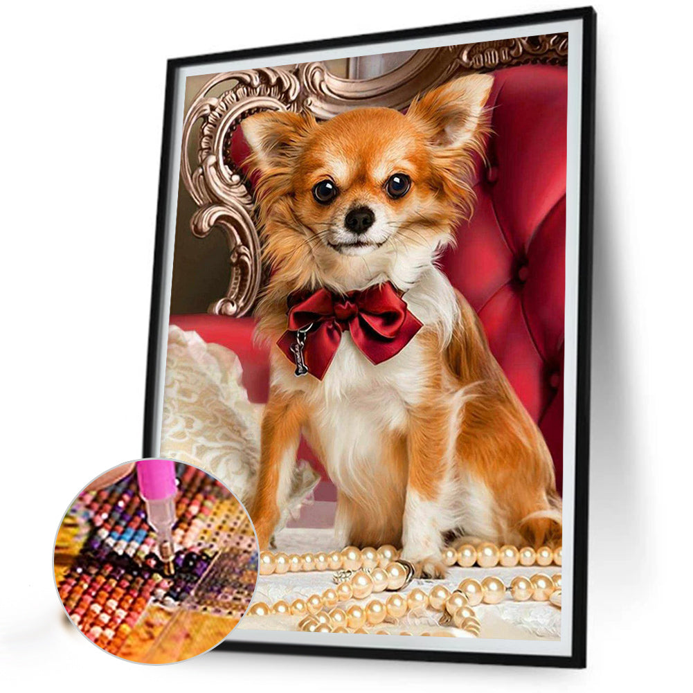 Chihuahua - Full Square Drill Diamond Painting 30*40CM