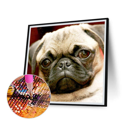 Melancholic Pug Dog - Full Round Drill Diamond Painting 50*50CM