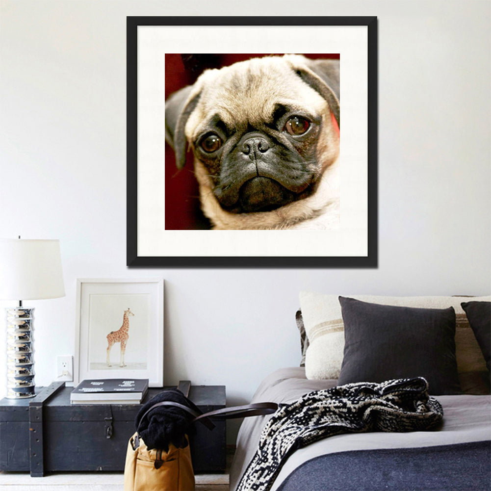 Melancholic Pug Dog - Full Round Drill Diamond Painting 50*50CM