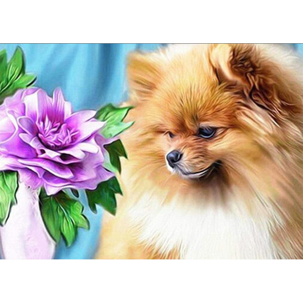 Pomeranian - Full Round Drill Diamond Painting 60*50CM