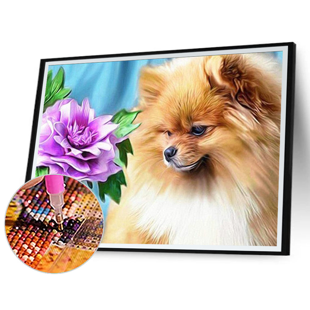 Pomeranian - Full Round Drill Diamond Painting 60*50CM