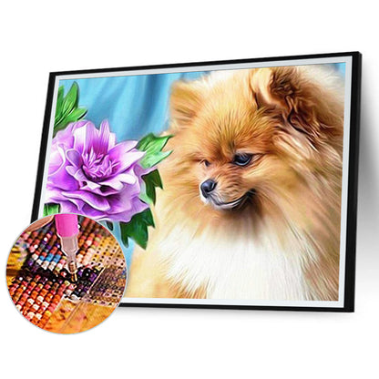 Pomeranian - Full Round Drill Diamond Painting 60*50CM