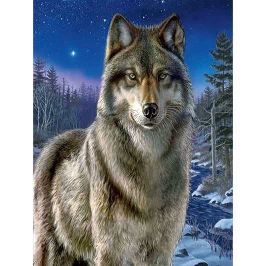 Snow Wolf - Full Square Drill Diamond Painting 40*50CM
