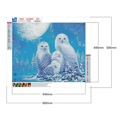 Snow Owl - Full Square Drill Diamond Painting 60*50CM