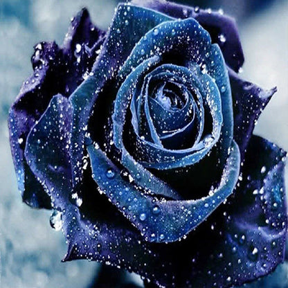 Blue Rose - Full Square Drill Diamond Painting 30*30CM