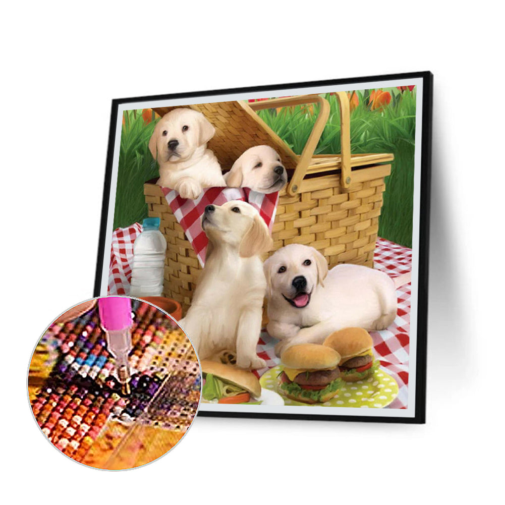 Picnic Puppy - Full Square Drill Diamond Painting 30*30CM