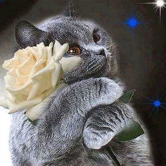 Cat With White Rose - Full Square Drill Diamond Painting 30*30CM