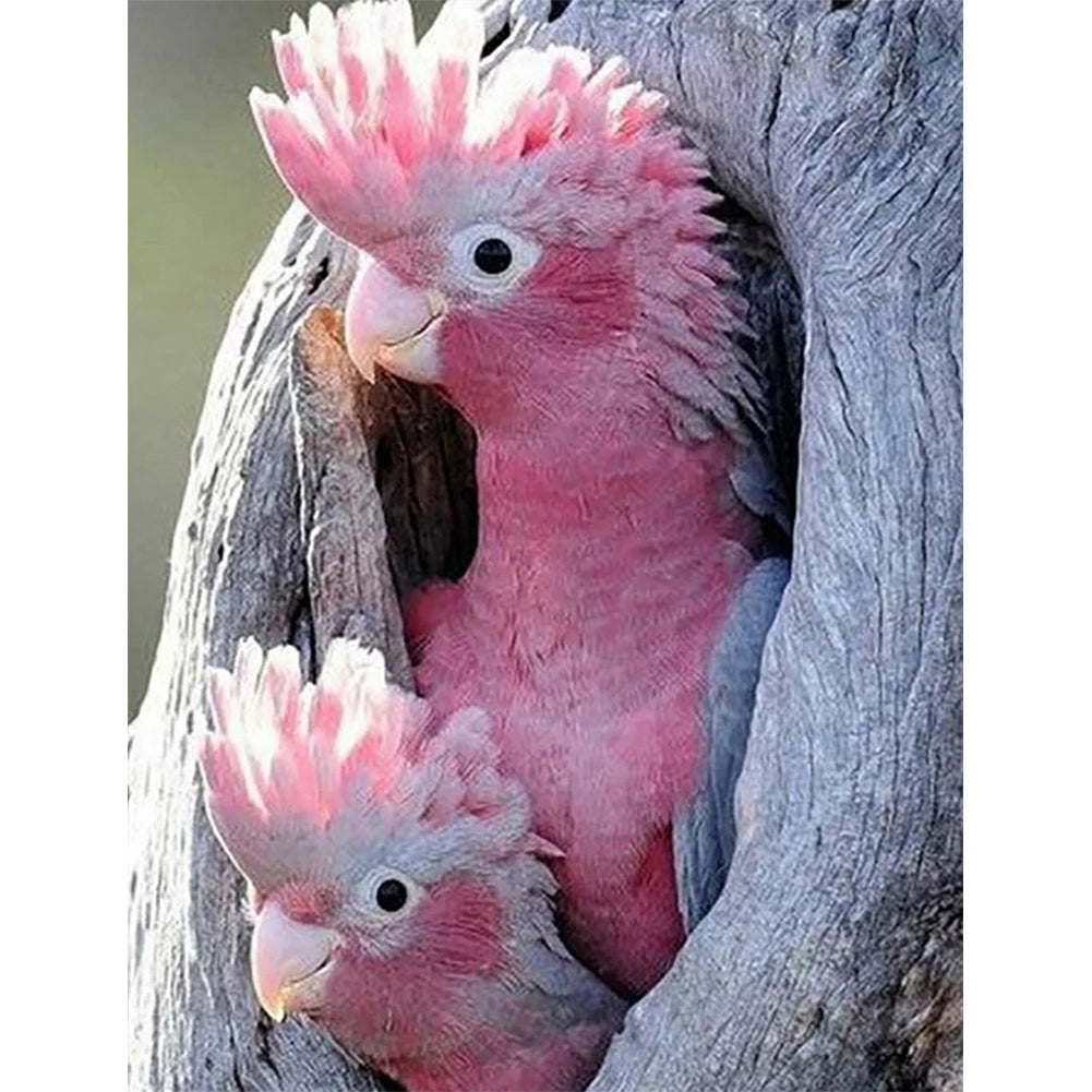 Pink Cockatoo - Full Square Drill Diamond Painting 40*50CM