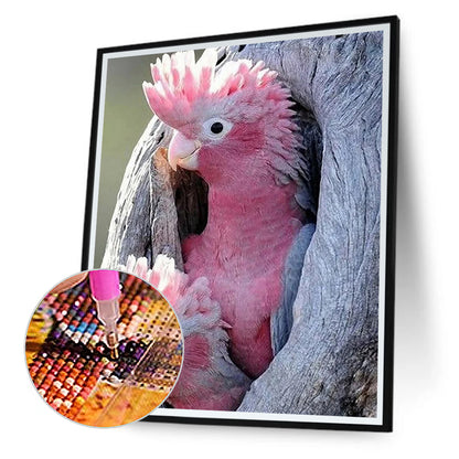 Pink Cockatoo - Full Square Drill Diamond Painting 40*50CM