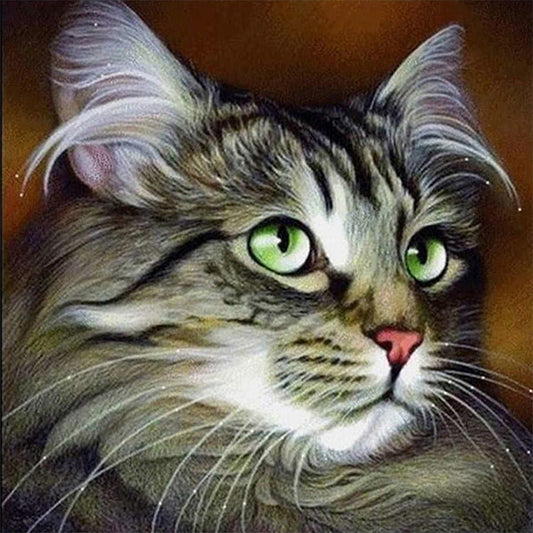 Cat With Big Eyes - Full Square Drill Diamond Painting 30*30CM