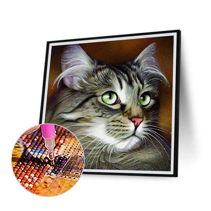 Cat With Big Eyes - Full Square Drill Diamond Painting 30*30CM