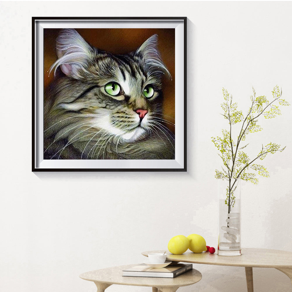 Cat With Big Eyes - Full Square Drill Diamond Painting 30*30CM