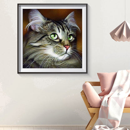 Cat With Big Eyes - Full Square Drill Diamond Painting 30*30CM