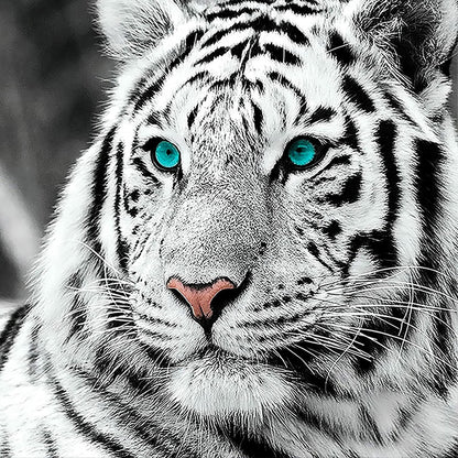 White Tiger - Full Square Drill Diamond Painting 40*40CM