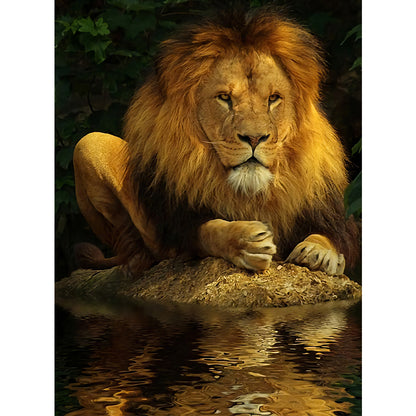 North African Lion - Full Round Drill Diamond Painting 40*50CM