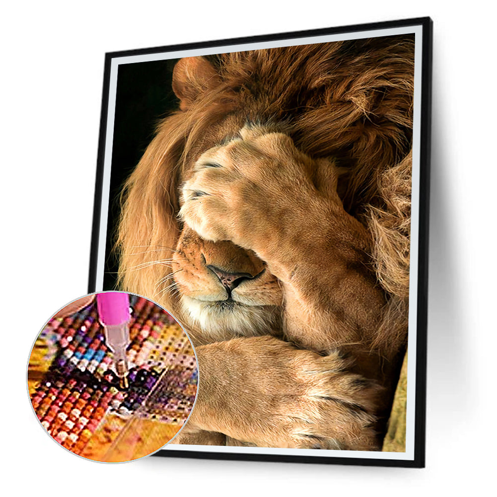 North African Lion - Full Round Drill Diamond Painting 40*50CM