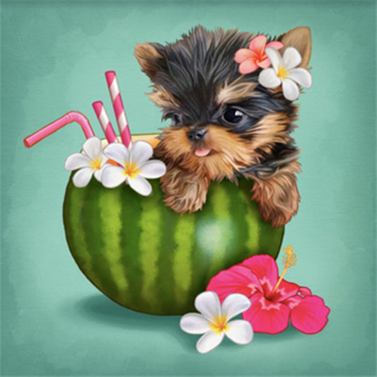 Yorkshire Terrier Dog Eating Watermelon Drink - Full Round Drill Diamond Painting 30*30CM