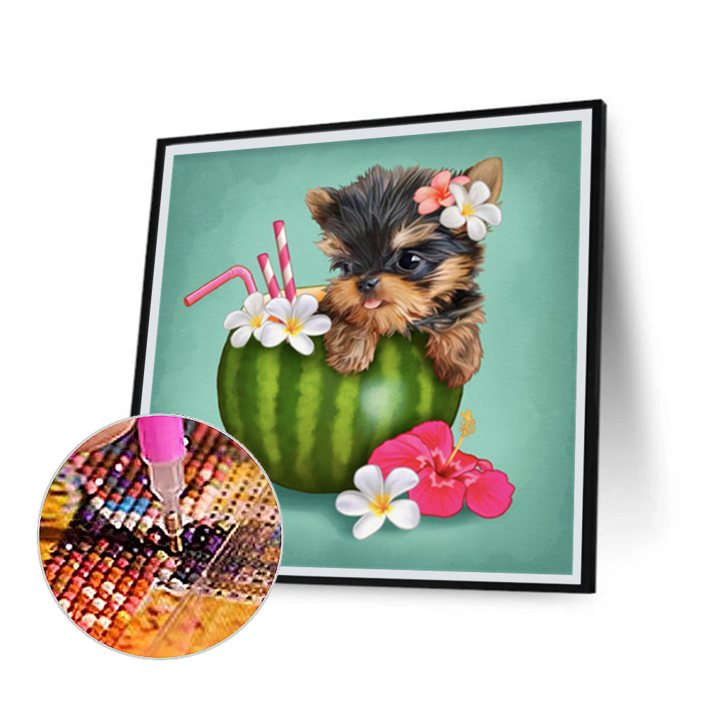 Yorkshire Terrier Dog Eating Watermelon Drink - Full Round Drill Diamond Painting 30*30CM