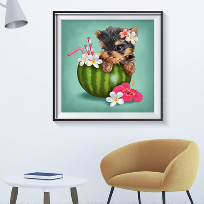 Yorkshire Terrier Dog Eating Watermelon Drink - Full Round Drill Diamond Painting 30*30CM